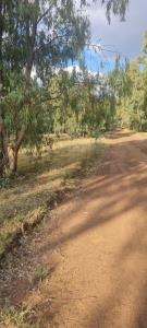 700401_WhatsApp Image 2023-05-09 at 15.48.25 (1).jpeg